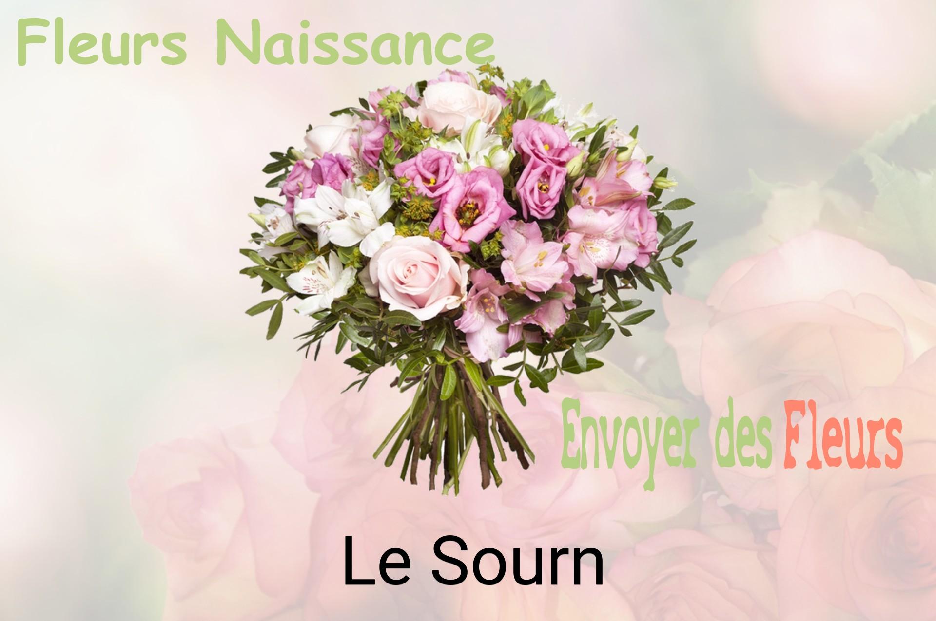 Bouquet de fleurs de naissance livré à Le Sourn