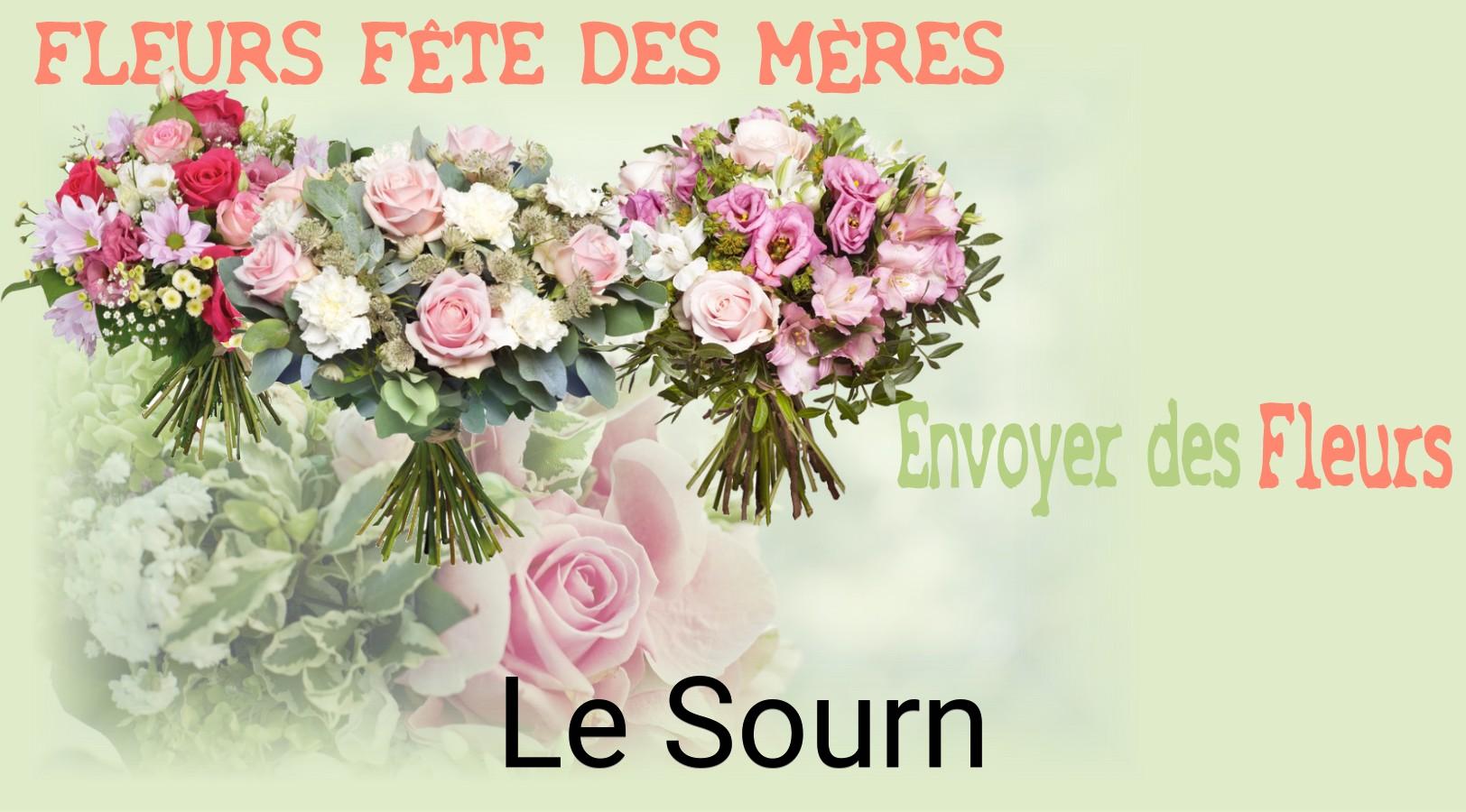 Bouquet de Fête des Mères livré à Le Sourn
